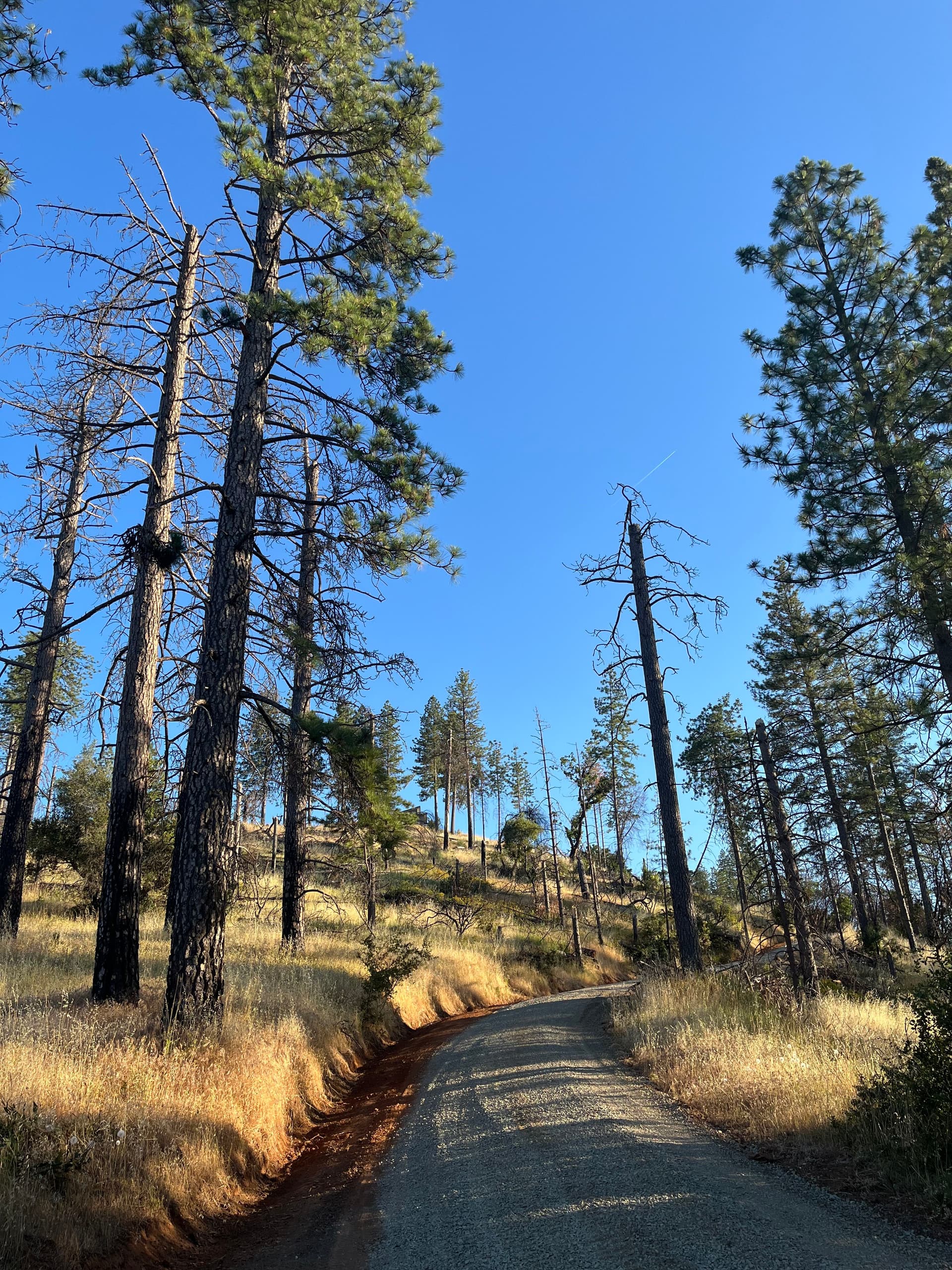 Gallery photos for Driveway Rehabilitation in  Berry Creek: Image #6