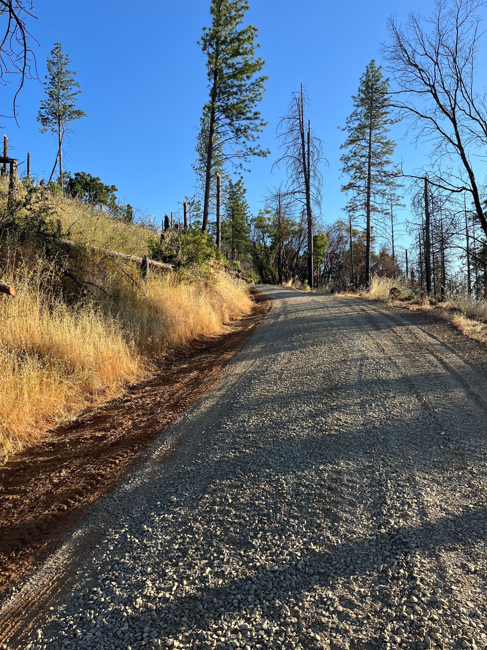 Gallery photos for Driveway Rehabilitation in  Berry Creek: Image #5