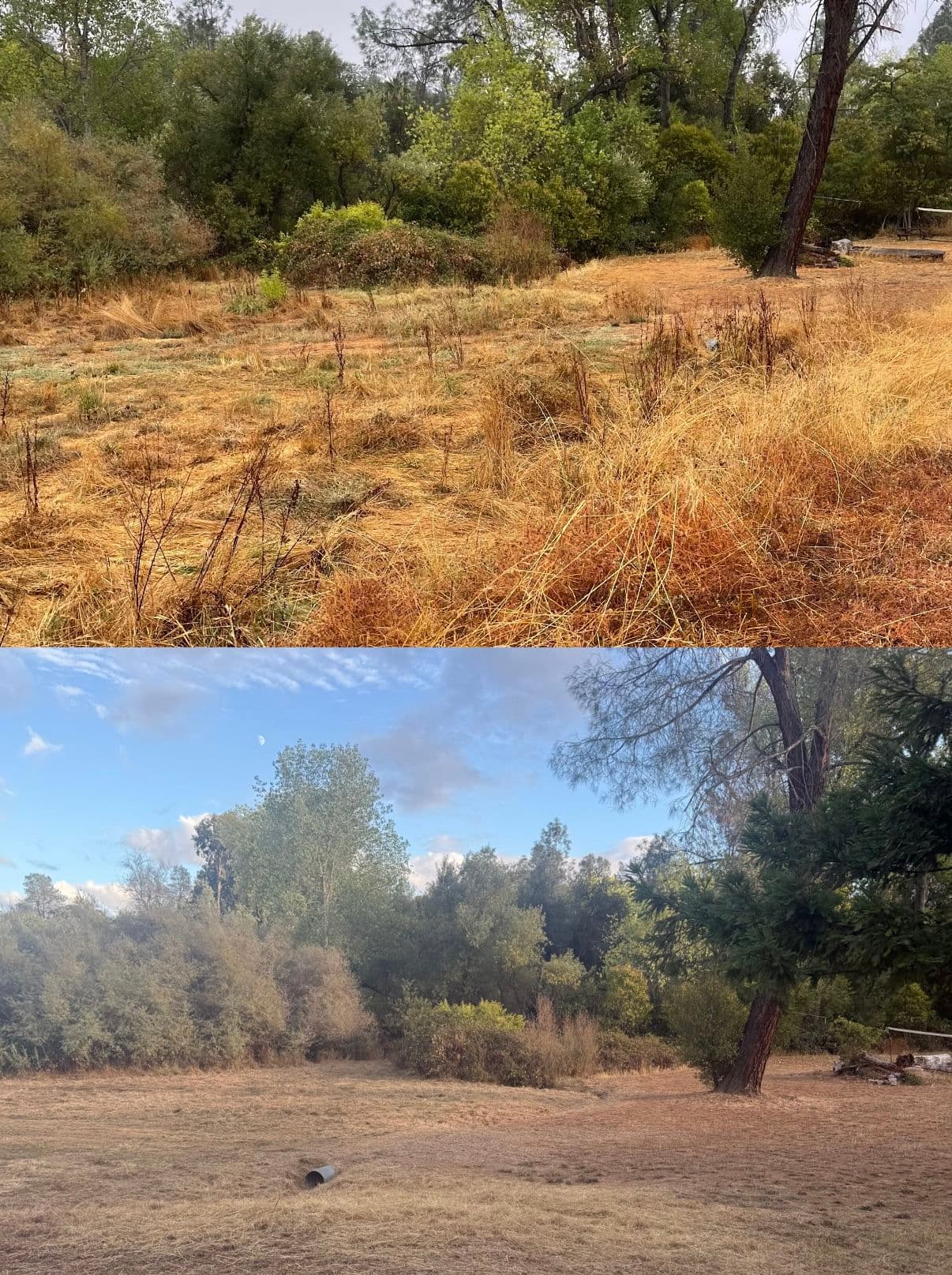 Clearing for Safety with Precision in Oroville