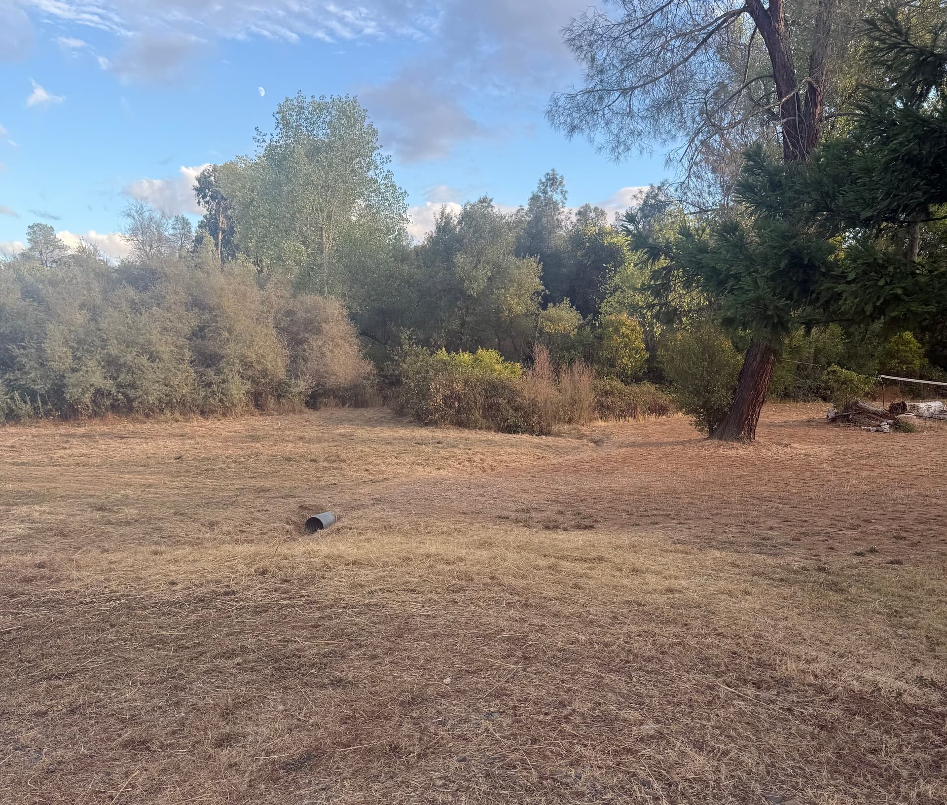 Gallery photos for Clearing for Safety with Precision in Oroville: Image #1