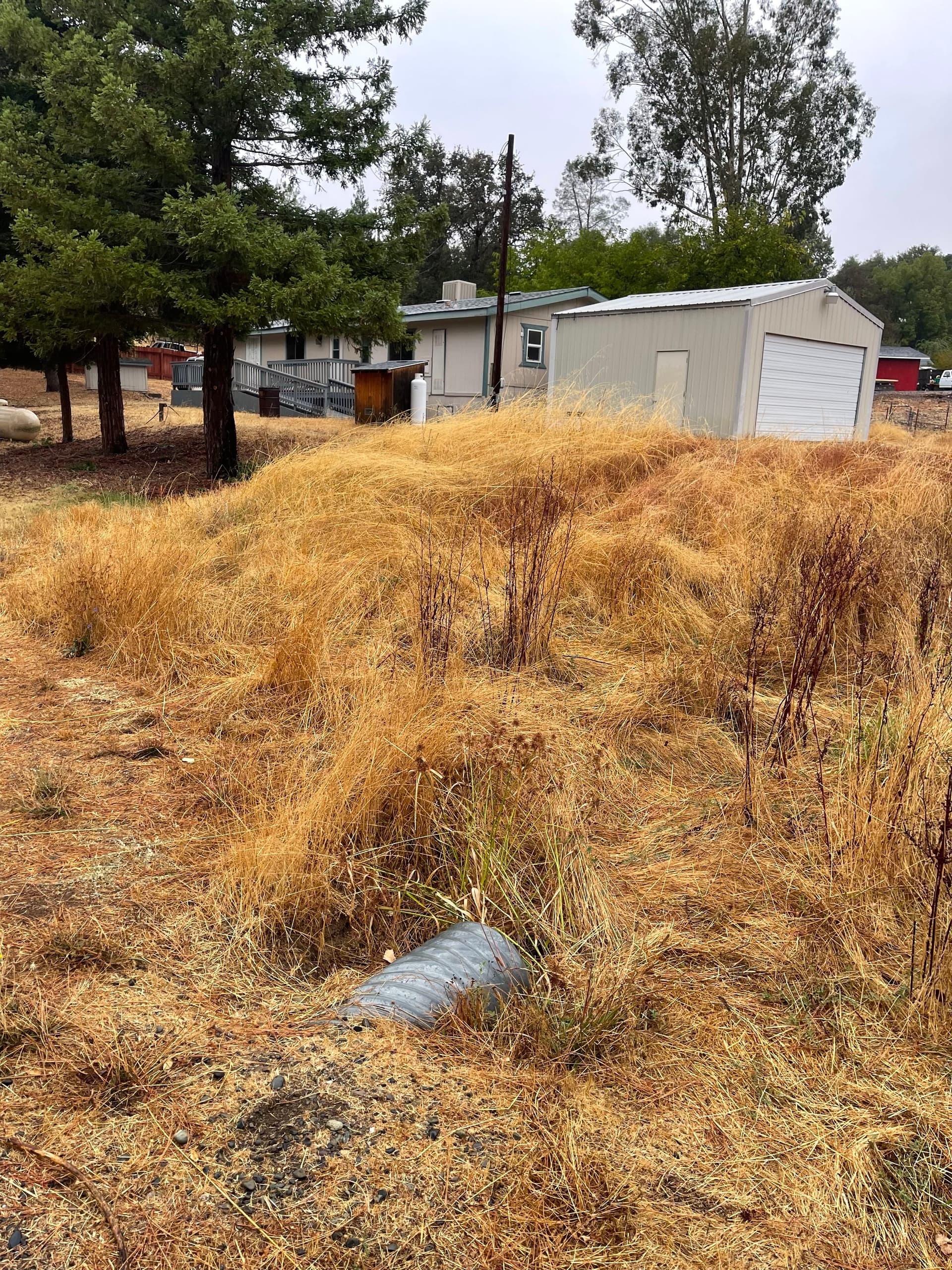 Gallery photos for Clearing for Safety with Precision in Oroville: Image #2