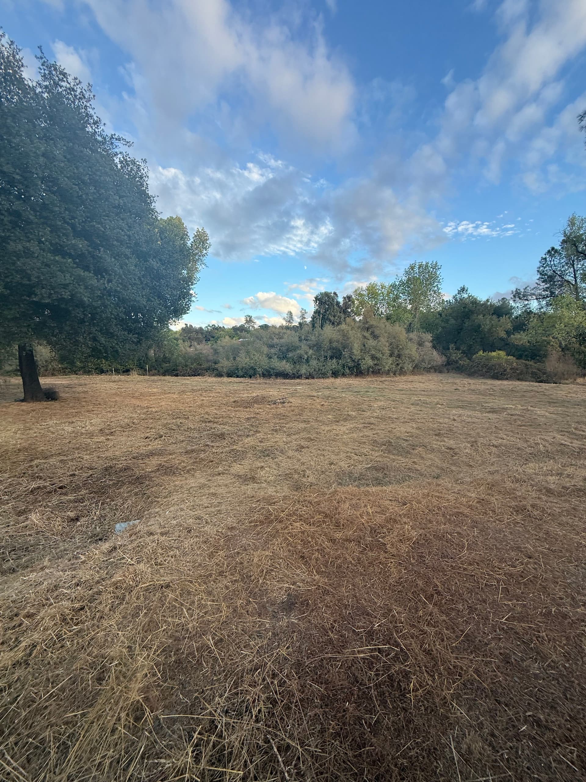 Gallery photos for Clearing for Safety with Precision in Oroville: Image #3