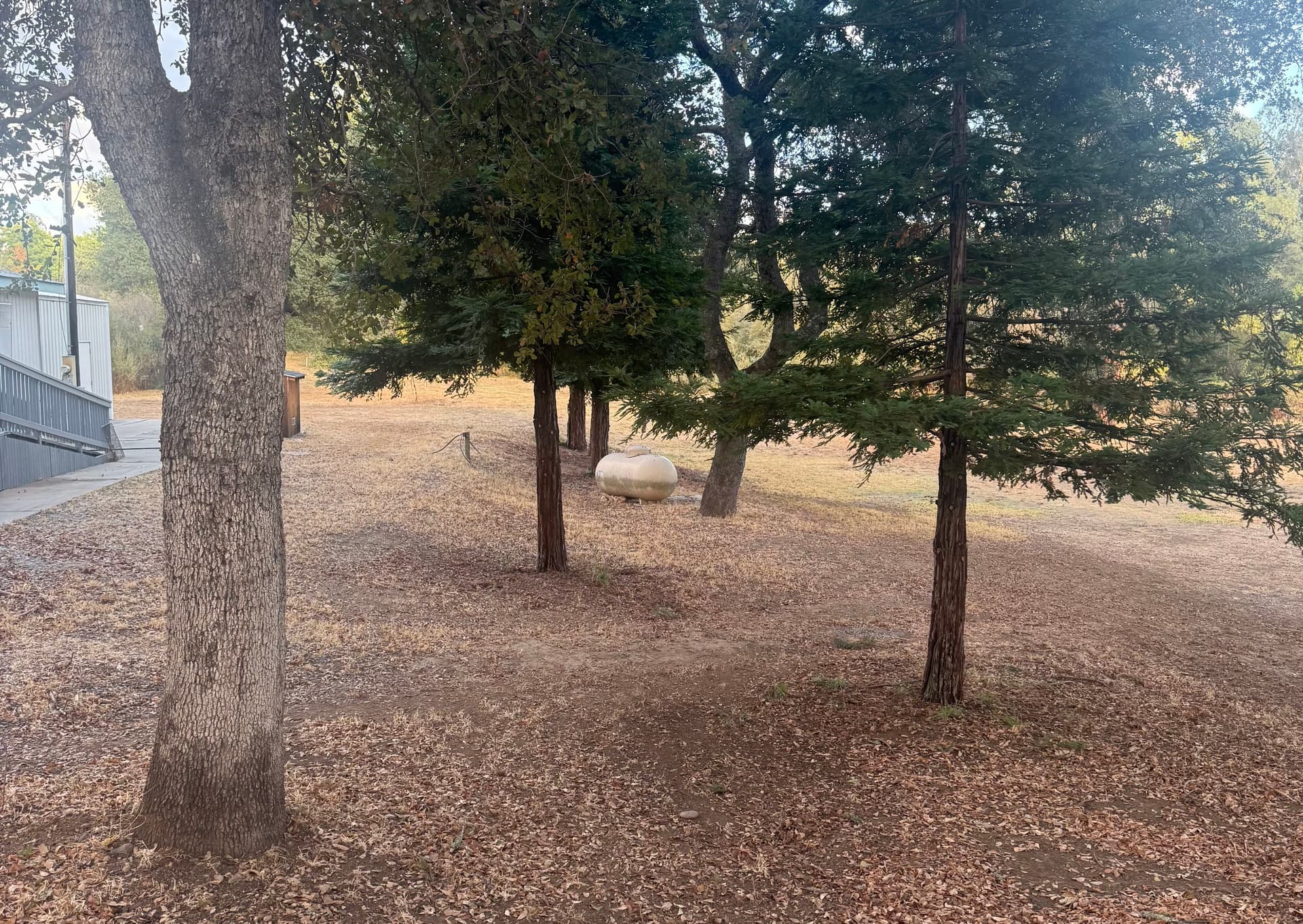 Gallery photos for Clearing for Safety with Precision in Oroville: Image #5