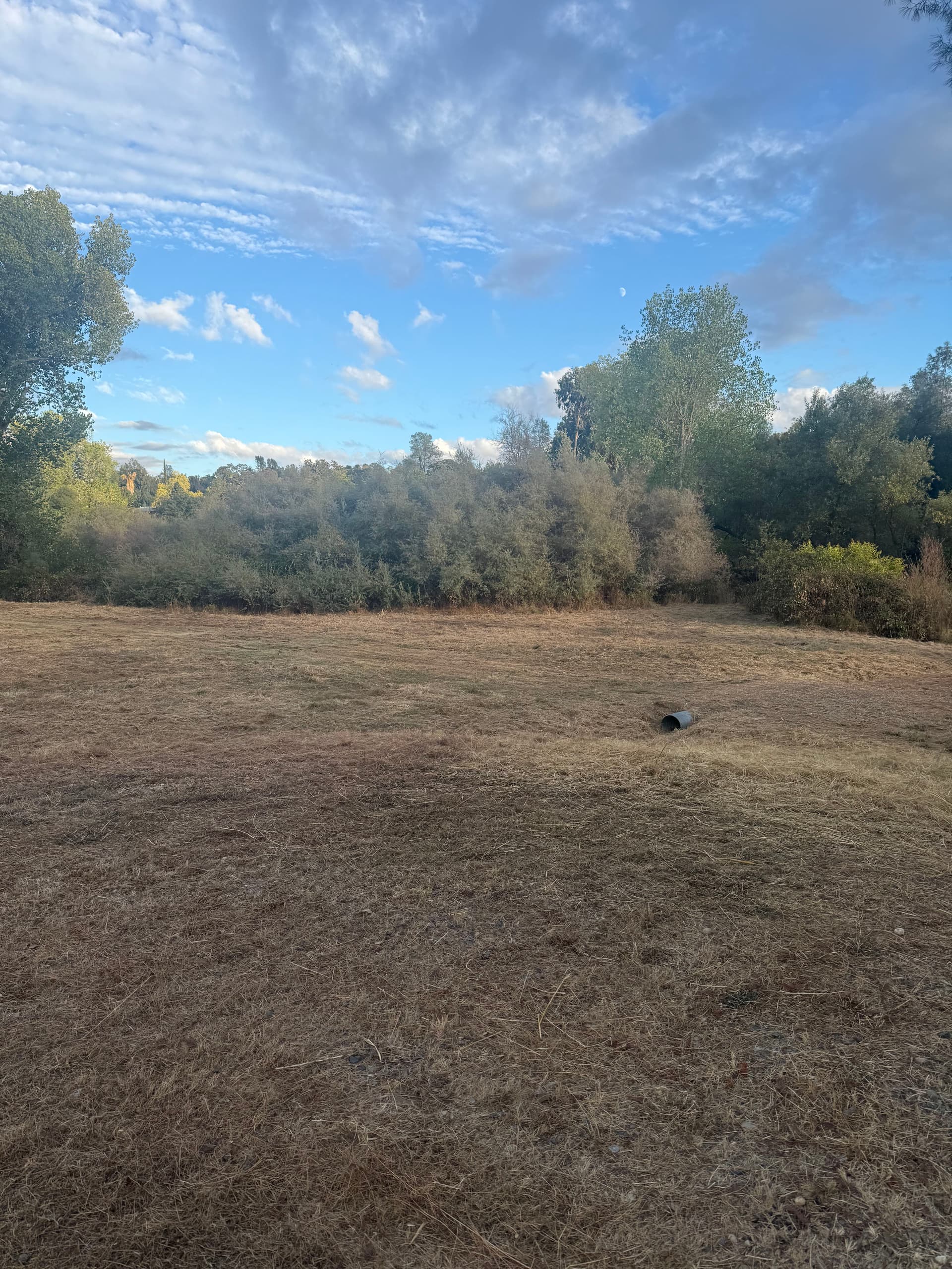 Gallery photos for Clearing for Safety with Precision in Oroville: Image #6