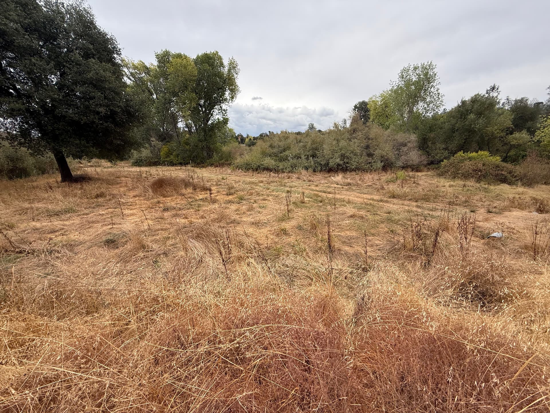 Gallery photos for Clearing for Safety with Precision in Oroville: Image #7