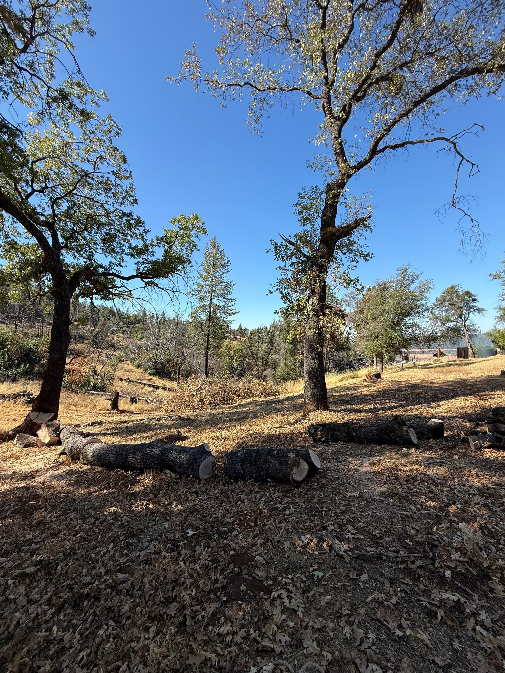 Gallery photos for Clearing for Safety with Precision in Oroville: Image #8