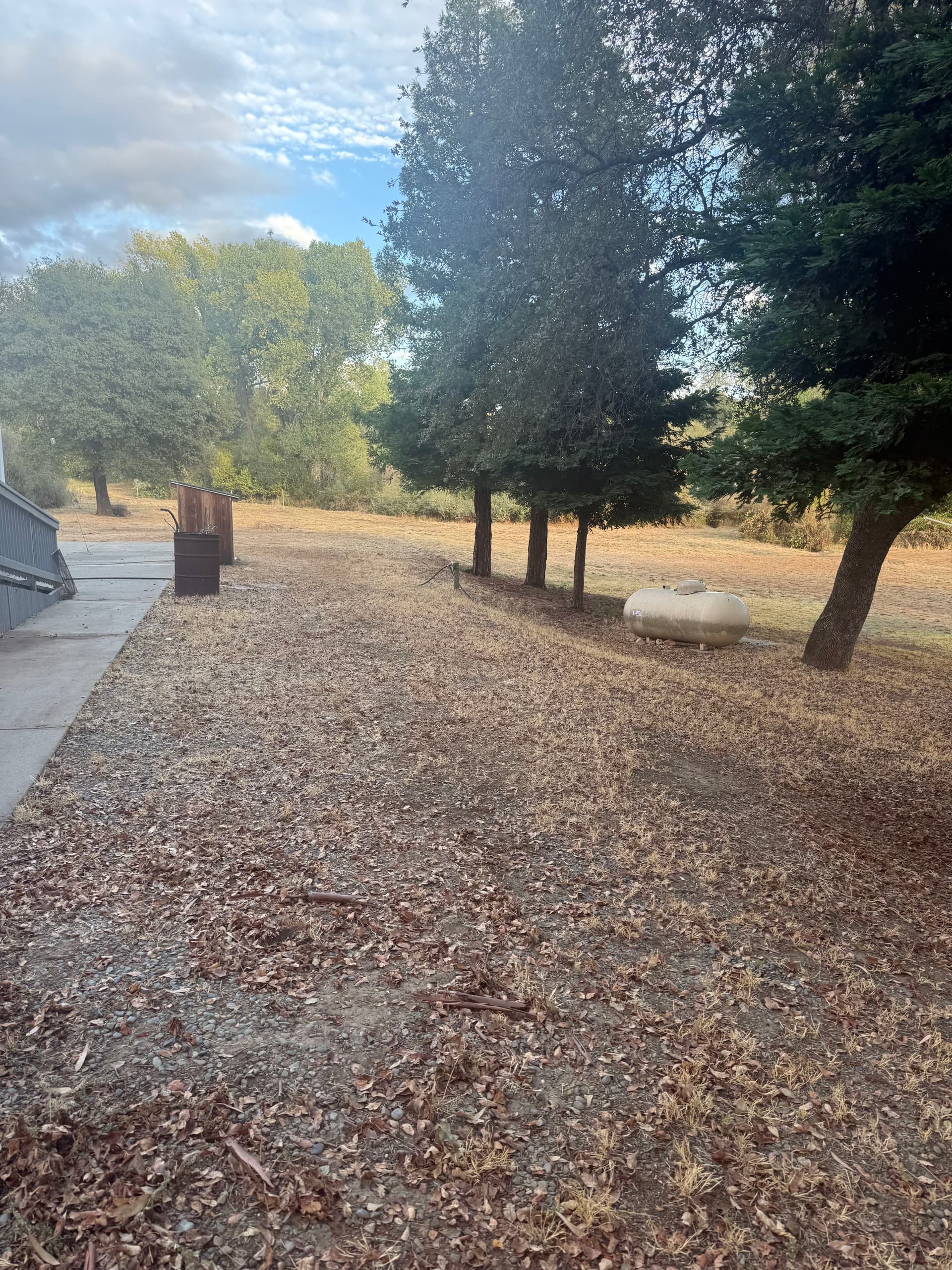 Gallery photos for Clearing for Safety with Precision in Oroville: Image #9