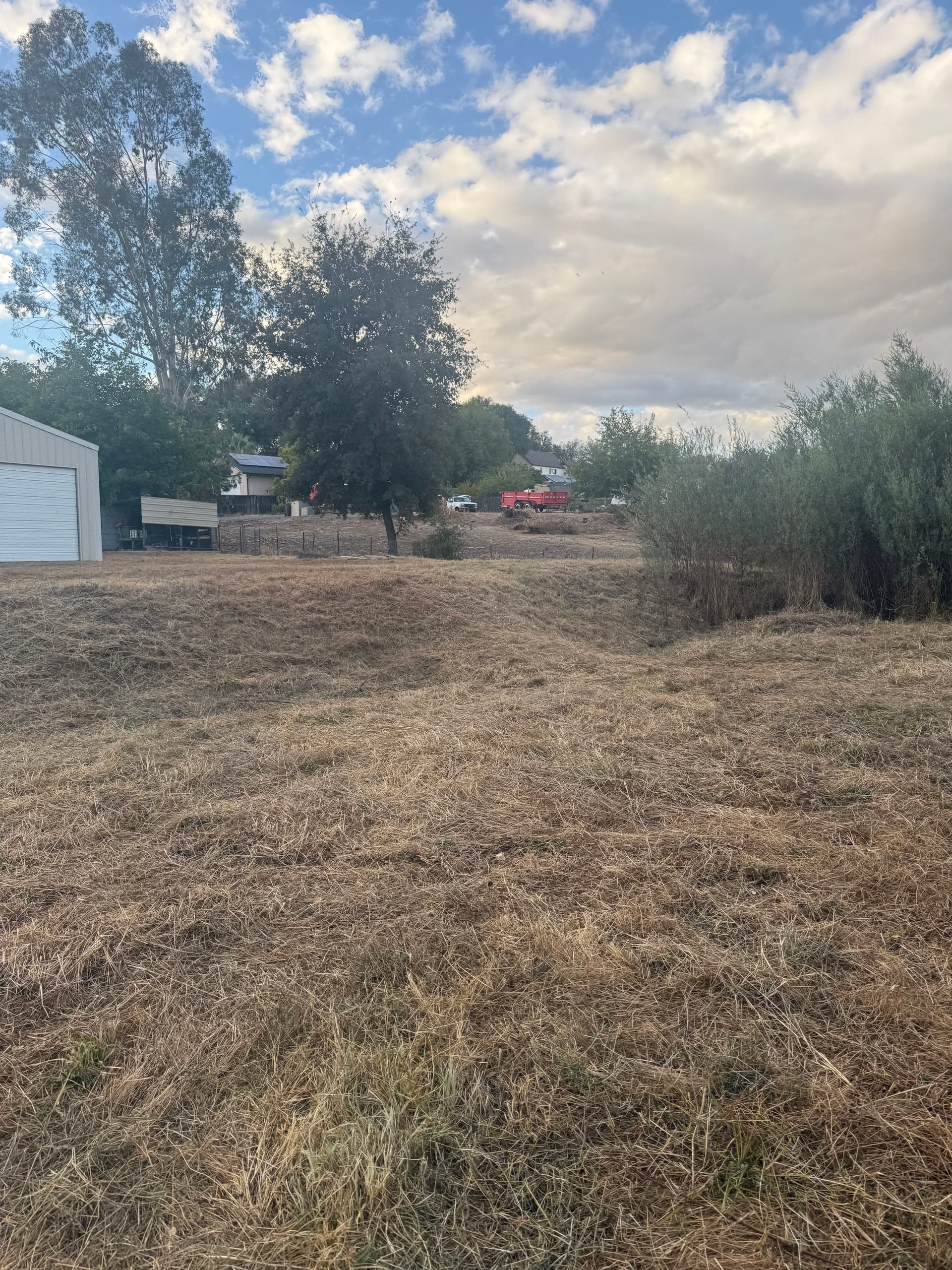 Gallery photos for Clearing for Safety with Precision in Oroville: Image #10