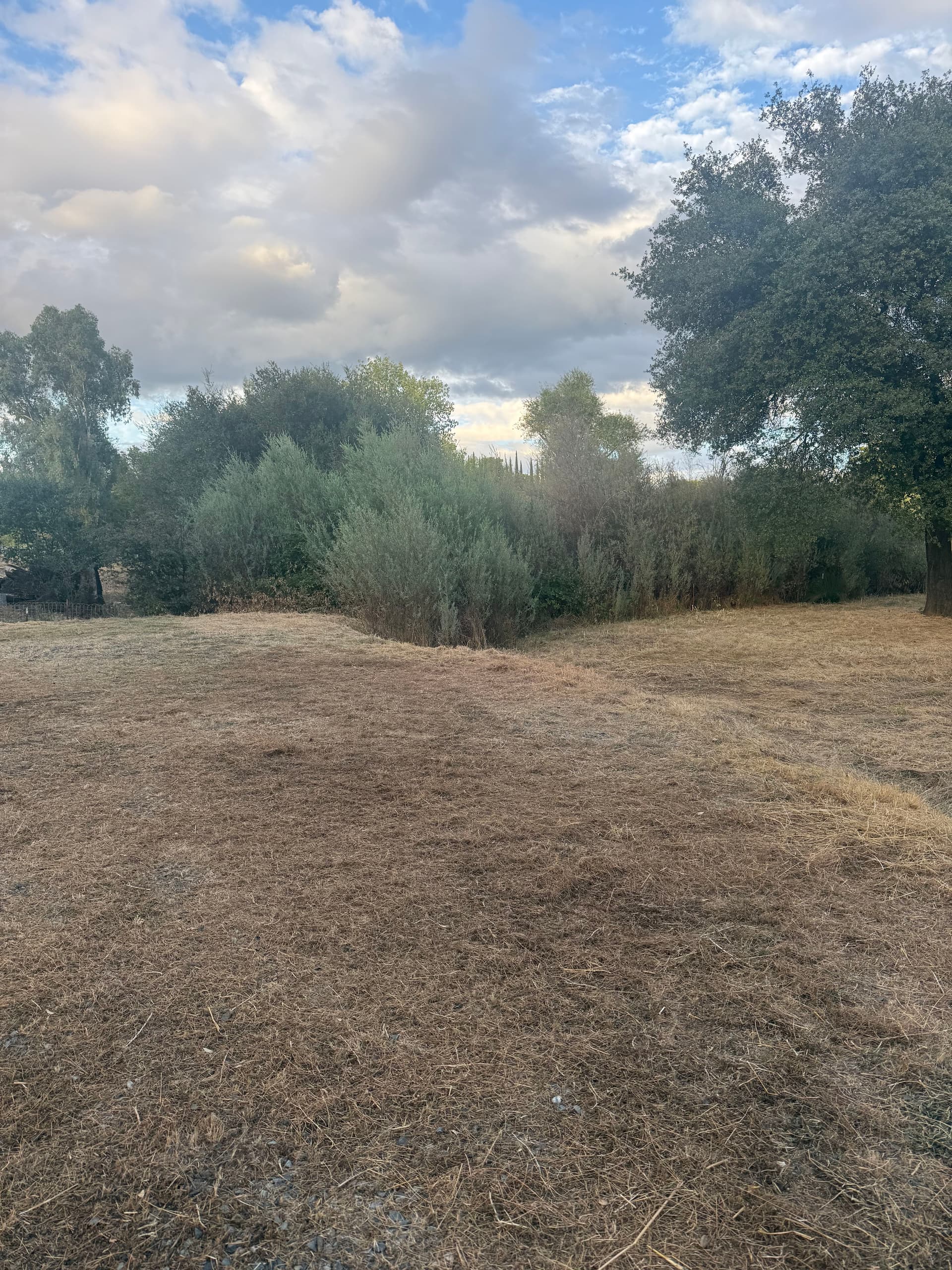 Gallery photos for Clearing for Safety with Precision in Oroville: Image #12