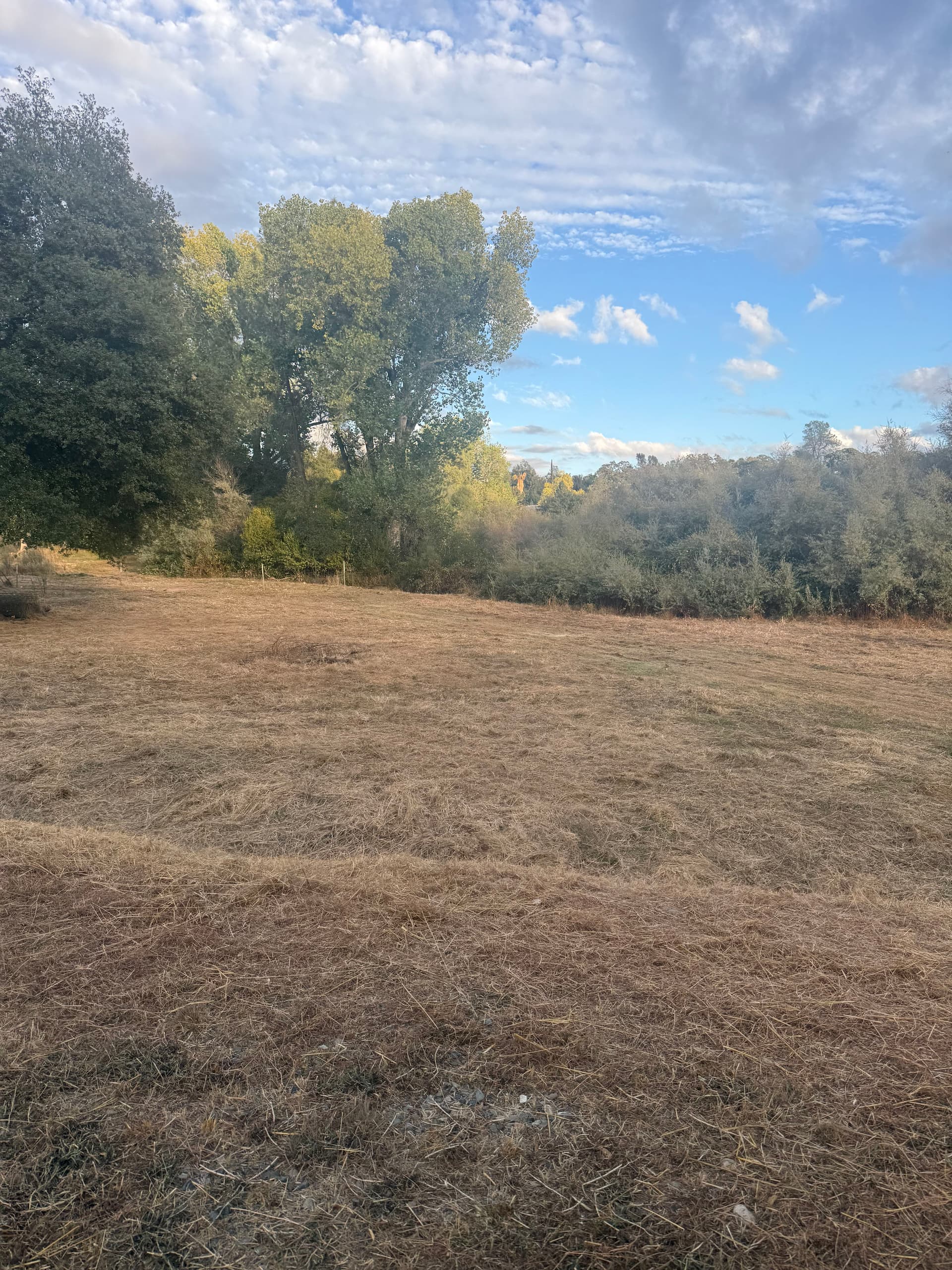 Gallery photos for Clearing for Safety with Precision in Oroville: Image #15