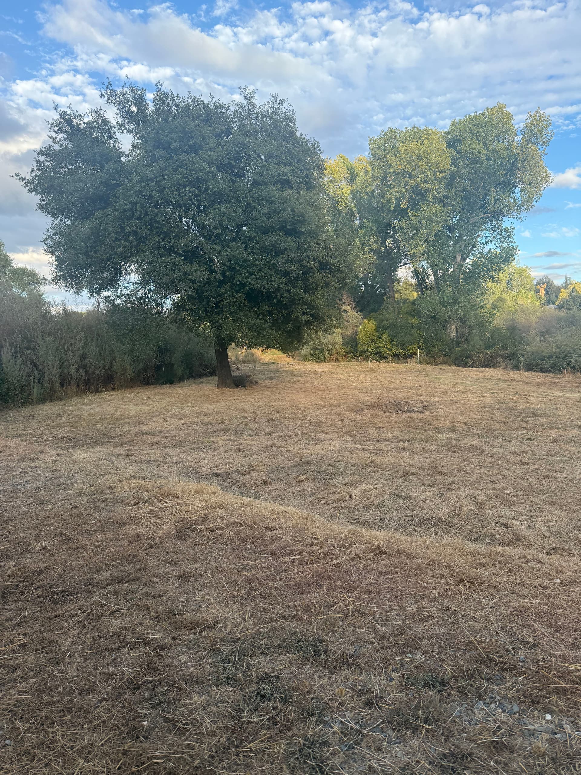 Gallery photos for Clearing for Safety with Precision in Oroville: Image #14