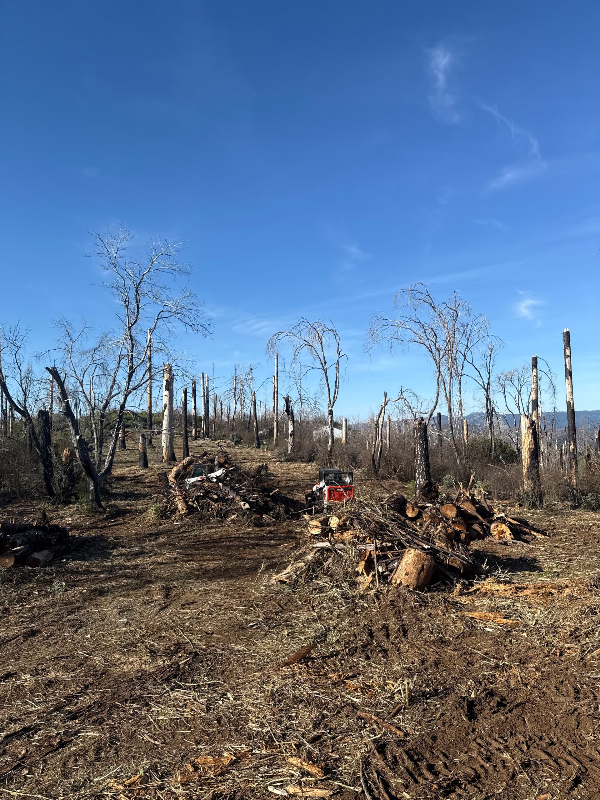 Efficient Land Clearing Post-Bear Fire in Berry Creek