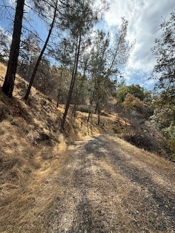 Project Road Safety and Fire Abatement in Oroville image