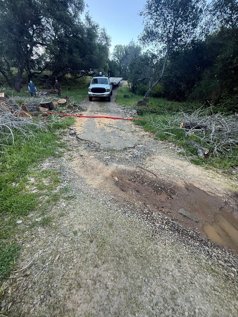 Gallery photos for Culvert Upgrade and Stump Removal in Oroville: Image #1
