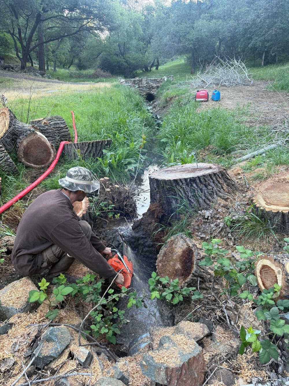Gallery photos for Culvert Upgrade and Stump Removal in Oroville: Image #4