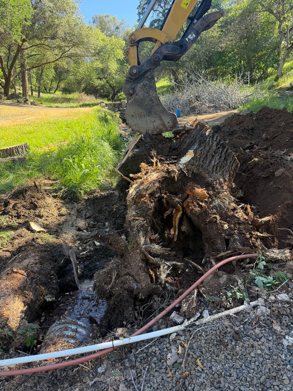 Gallery photos for Culvert Upgrade and Stump Removal in Oroville: Image #5