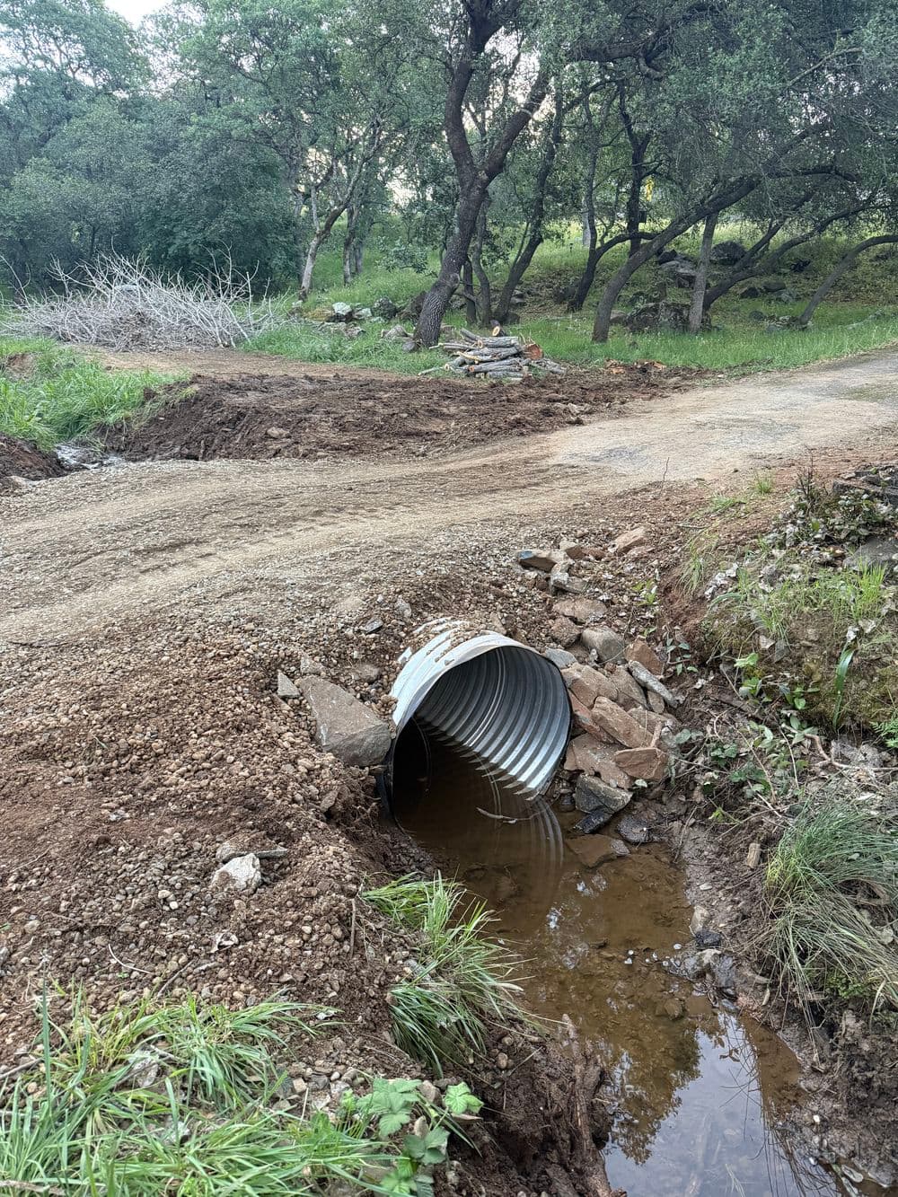 Gallery photos for Culvert Upgrade and Stump Removal in Oroville: Image #6