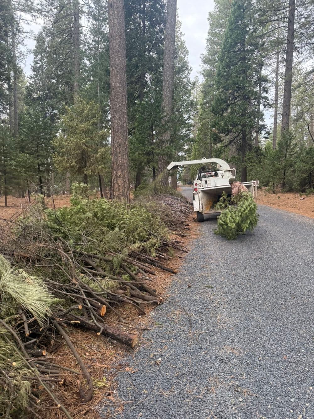 Gallery photos for Free Defensible Space Chipping Through Butte County Fire Safe Council: Image #1