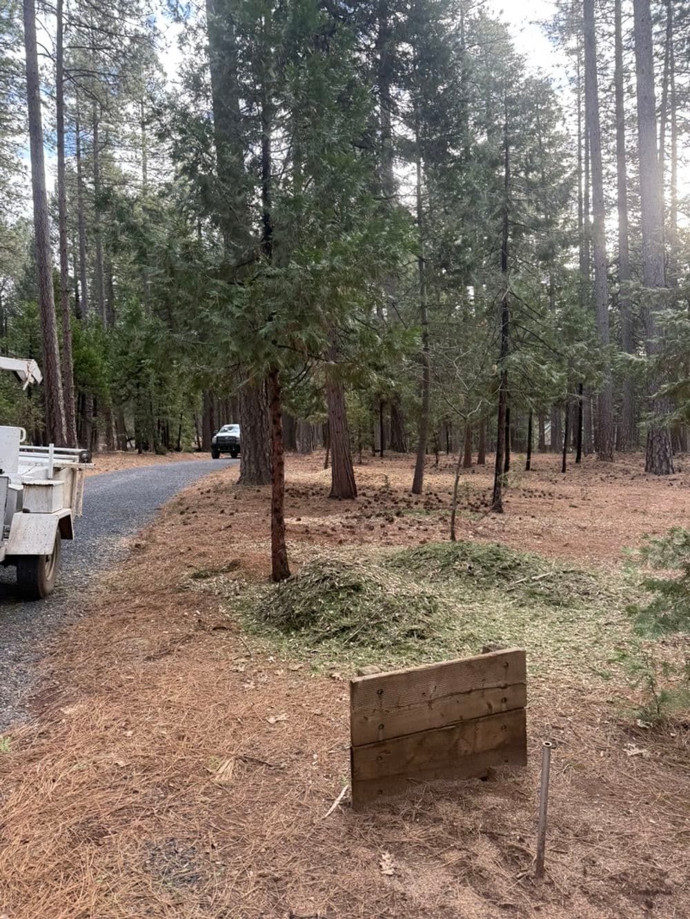 Gallery photos for Free Defensible Space Chipping Through Butte County Fire Safe Council: Image #2
