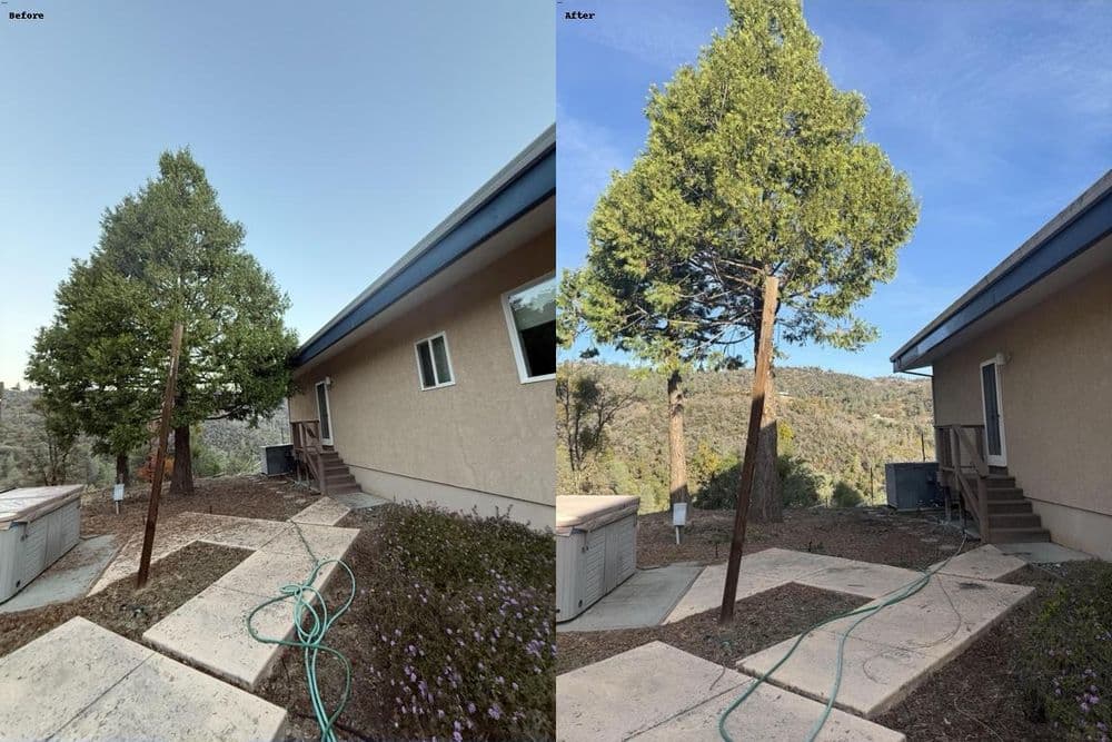 Gallery photos for Fuel Reduction and Defensible Space Cleanup in Oroville: Image #1