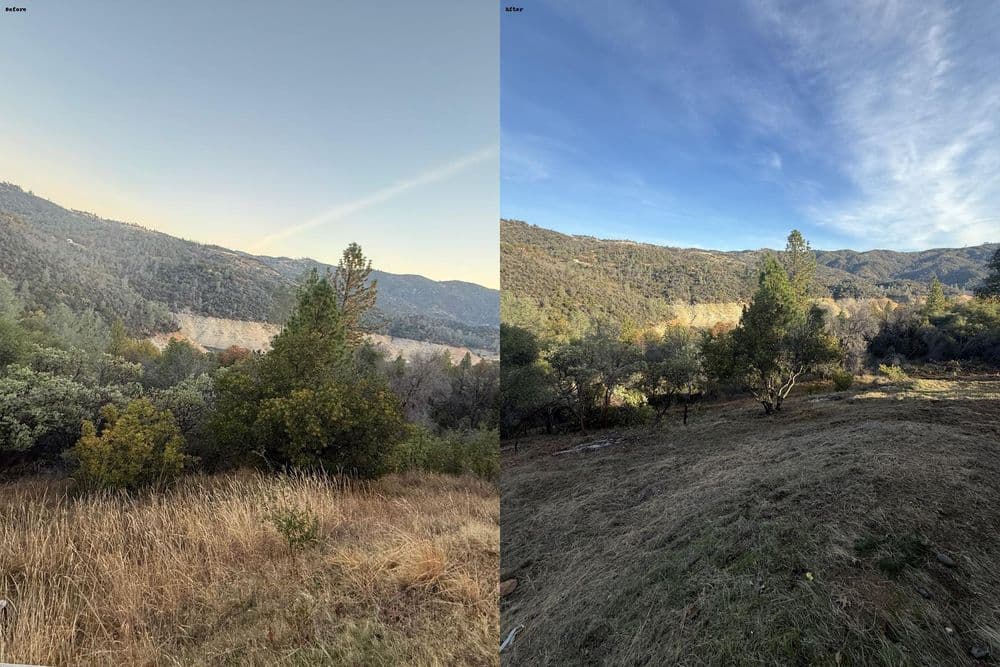 Gallery photos for Fuel Reduction and Defensible Space Cleanup in Oroville: Image #3