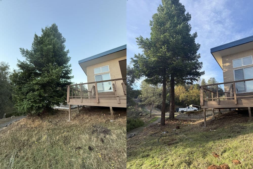 Gallery photos for Fuel Reduction and Defensible Space Cleanup in Oroville: Image #7