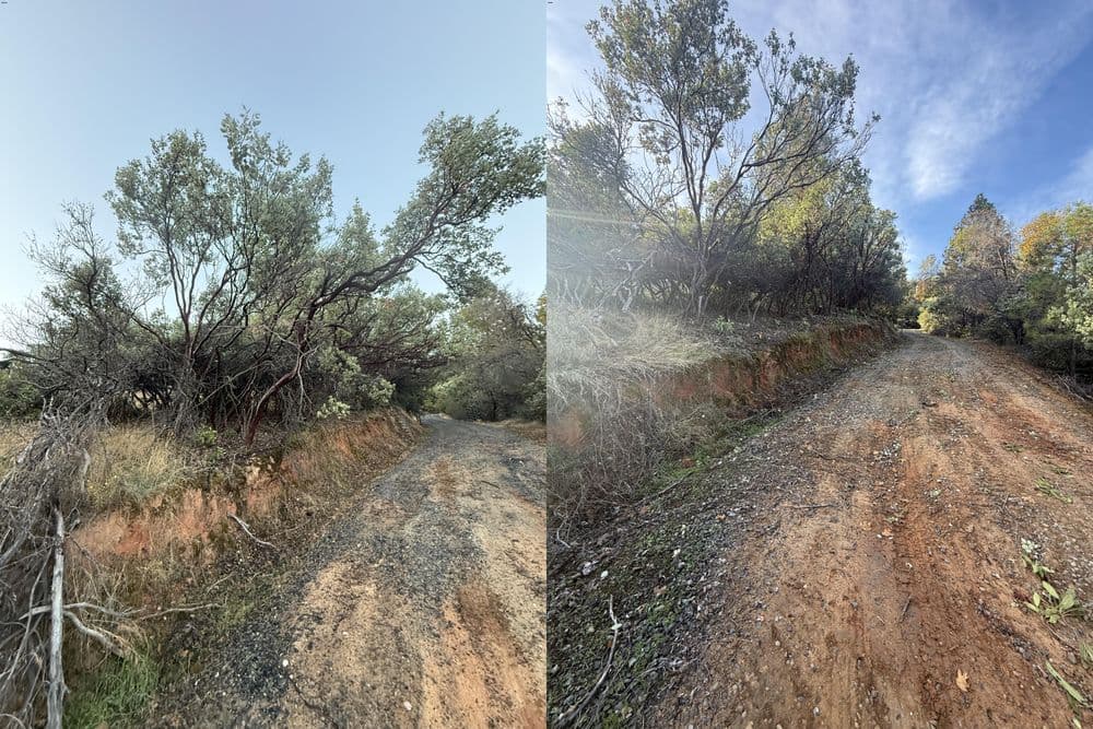 Gallery photos for Fuel Reduction and Defensible Space Cleanup in Oroville: Image #6