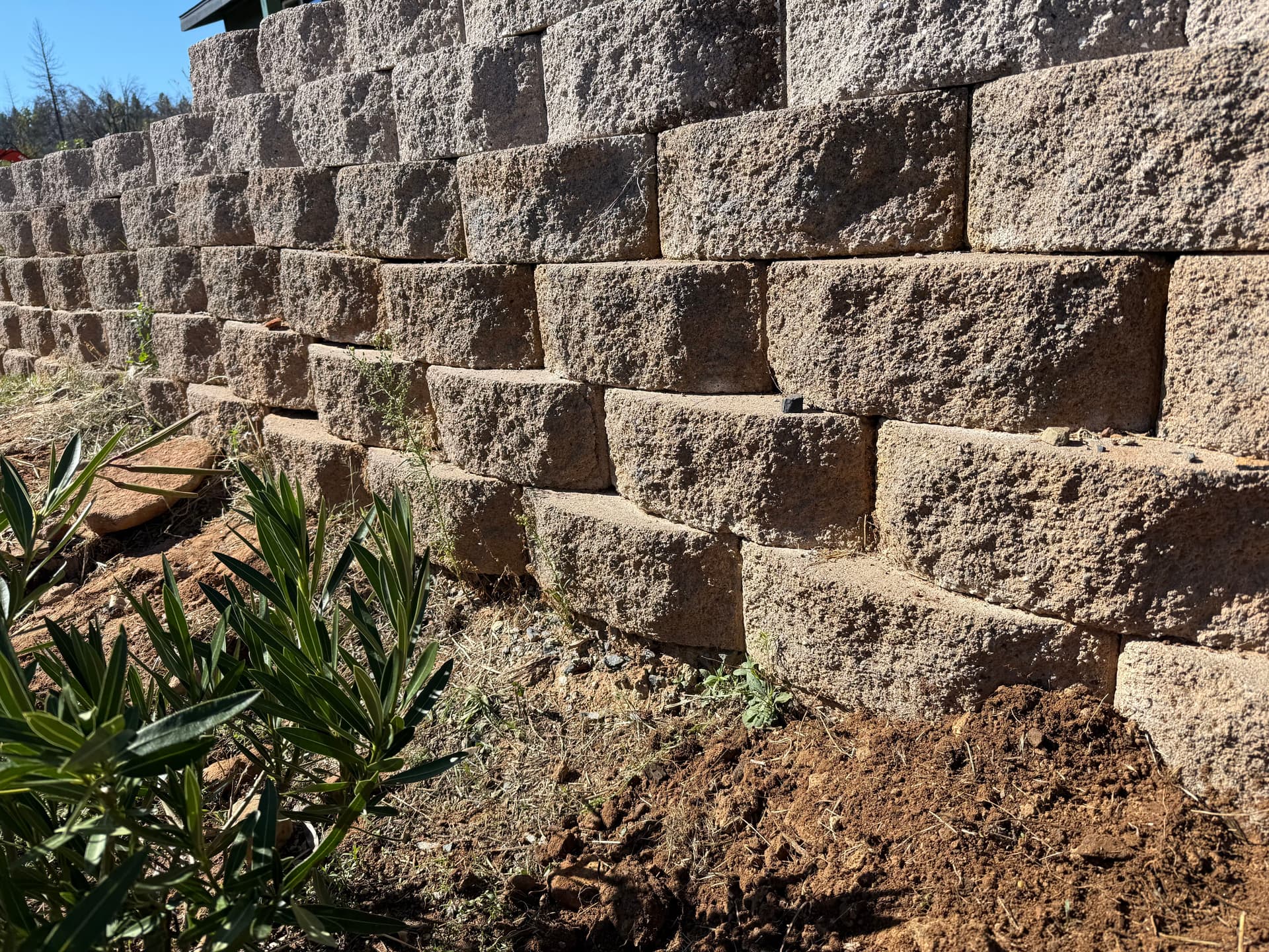 Gallery photos for Retaining Wall and Yard Transformation in Berry Creek: Image #15